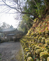 Arashiyama; japan; kyoto; ttemple; forest; outdoor; travel; explore;