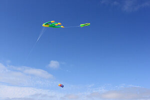 Kites on the beach of Sankt Peter-Ording