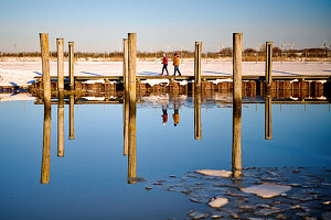 Walkers at the cutter harbor with reflection, Dorum-Neufeld, Cuxhaven district, Lower Saxony, Germany