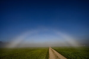 Fog bow, white rainbow in front of a wall of fog in an open field