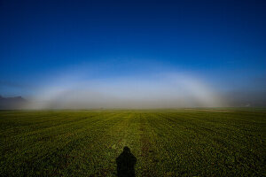 Nebelbogen, weißer Regenbogen vor Nebelwand auf freiem Feld