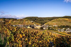 Ahrweiler amidst the vineyards, Ahr Valley, Rhineland-Palatinate, Germany