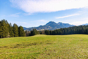 Forest, meadow and mountain panorama with Breitenstein and Schweinsberg from the Leitzachtaler Bergblicke hiking trail near Fischbachau in Upper Bavaria, Germany