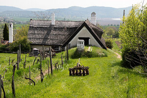 Traditional thatched cottage in the vineyards near Aszofö village on Lake Balaton, Veszprém county, Hungary