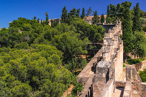 The walkable walls and park with trees of the Alcazaba de Antequera fortress in Andalusia, Spain