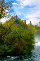 Rheinfall mit dem Schloss Laufen, bei Neuhausen in Schaffhausen, Kanton Schaffhausen, Schweiz