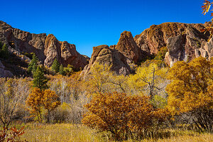 Autumn colors highlighted against the red rocks and blue sky in Roxborough State Park in Colorado