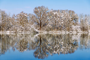 Wiflinger Weiher (Wörther Weiher), Schneelandschaft und tief verschneite Bäume am Seeufer mit Wasserspiegleung im Sempttal im Erdinger Land in Oberbayern in Deutschland