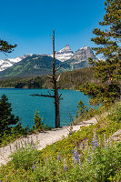Landschaft mit Weg und See, Bäume und Berge im Glacier National Park, Montana, USA