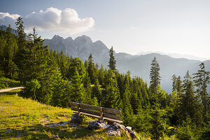 Bank, Gosaukamm, Gosau, Salzkammergut, Oberösterreich, Österreich