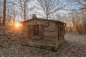 Sonnenuntergang im Wald, Ergersheim, Neustadt an der Aisch, Unterfranken, Franken, Bayern, Deutschland, Europa