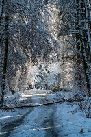 Tief verschneite Straße, Salzburger Land, Österreich