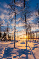 Winterlicher Sonnenuntergang; Råneå, Norrbotten, Schweden
