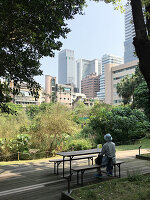 Bank zum Ausruhen im Schatten der Bäume: ein Mann genießt kleine Pause mit Blick auf die Großstadt, Songshan Creative Park, Taipeh, Taiwan, Asien