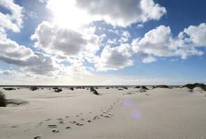 Sand, Dünengras, dramatischer Wolkenhimmel und Gegenlicht auf Amrum, Nordsee, Schleswig-Holstein, Deutschland