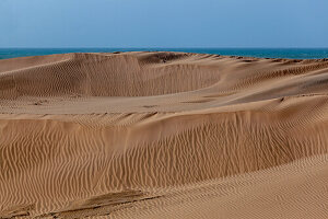  Africa, Morocco, Plage blanche, the white beach, dune landscape on the Atlantic 