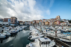  Stadtzentrum und Hafen von Bermeo, Pais Vasco, Spanien 