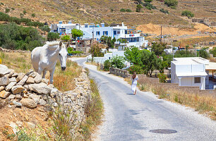  Weißes Pferd steht in der Nähe einer Landstraße, Insel Serifos, Kykladen, Griechenland 