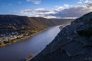 Der Blick über die Mosel und Weinberge auf Winningen im Februar, Moseltal, Rheinland-Pfalz, Deutschland, Europa