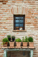 Gartenkräuter im Keramiktöpfen auf der Terrasse vor altem Steinhaus