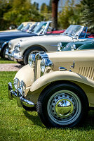 Classic Cars, Oldtimer, MG TD 50er Jahre, in einer Reihe auf dem Rasen