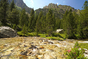  The Riu de Monestero river in the Aigüestortes i Estany de Sant Maurici National Park, Catalonia, Spain, Europe 