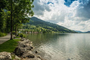  Bühl, Großer Alpsee, Immenstadt, Oberallgäu, Allgäu, Swabia, Bavaria, Germany 