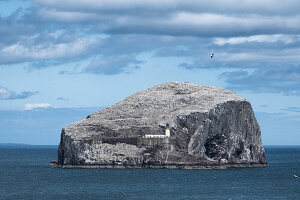  View of Bass Rock and its lighthouse, East Lothian Coast, Scotland, United Kingdom 