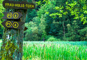  Geo-Nature Park Frau-Holle-Land, Frau-Holle Pond, Statue of Frau Holle, Hoher Meißner, Hesse, Germany 