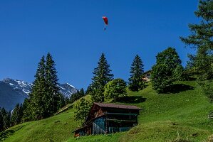 Gleitschirmflieger über Almwiesen und Almhütten, und Hochgebirge, Mürren, bei Lauterbrunnen, Berner Oberland, Schweiz