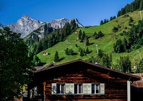  View of alpine meadows and alpine mountains in Mürren, Alpenhaus in the foreground, Mürren, Bernese Oberland, Switzerland 