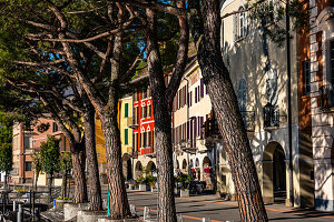 Altstadt mit Gebäuden und Bäumen an einem sonnigen Tag in Morcote, Luganersee, Tessin, Schweiz.