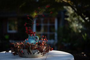 Vase mit Hagebutten, Herbstdekoration, Garten, Deutschland