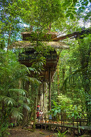 tree house 15 meters off ground,French Guiana,overseas department and region of France,Atlantic coast of South America