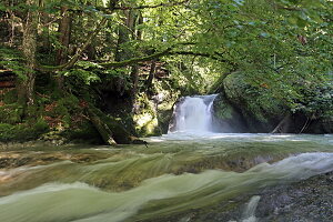 Der Fluss Obere Argen fließt durch das Naturschutzgebiet Eistobel, Es befindet sich bei Maierhöfen, Allgäu, Schwaben, Bayern, Deutschland