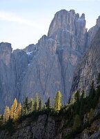 an der Passstraße Grödnerjoch bei Colfosco mit Sella, Alta Badia, Dolomiten, Südtirol, Italien
