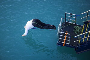 Der coole Kapitän Mindaugas Oginskas vom Expeditionskreuzfahrtschiff World Voyager (Atlas Ocean Voyages) unternimmt in voller Uniform den „Polar Plunge“ in eiskaltes Gletscherwasser, Evighedsfjorden (Ewigkeitsfjord), Queqatta, Grönland, Europa