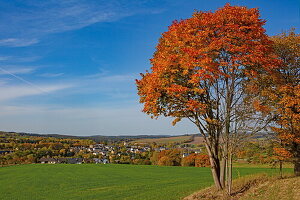 Herbstlandschaft mit Ort Schlotthau, Erzgebirge, Sachsen, Deutschland