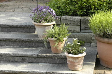 pflanztopf blau NEU !! Großer Blumentopf, winterfest blau glasiert ø ca. 41 cm aus Ste – La  Casa main image 1