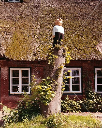Haus Von Bildhauer Jonas Kotz Bild Kaufen 10207825 Seasons