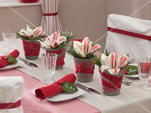 tischdeko weihnachten amaryllis weihnachtliche tischdeko mit amaryllis bild kaufen tischdeko weihnachten amaryllis weihnachtliche tischdeko mit amaryllis bild kaufen