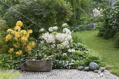 Brunnen Mit Steintrog Rhododendron Bild Kaufen 12173103