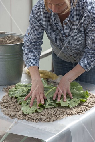 Trittsteine Fur Den Garten Selbermachen Bild Kaufen 12183201