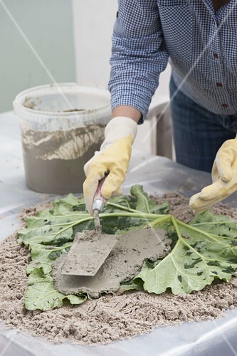 Trittsteine Fur Den Garten Selbermachen Bild Kaufen 12183209