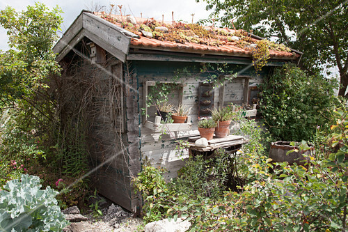 Verwunschenes Kleines Gartenhaus Im Bild Kaufen 12193227