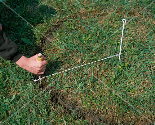 Apfelbaum Pflanzen 1 10 Bild Kaufen 12232715 Friedrich