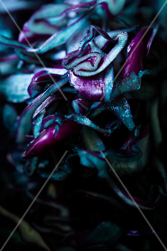 Sliced red cabbage (close-up)